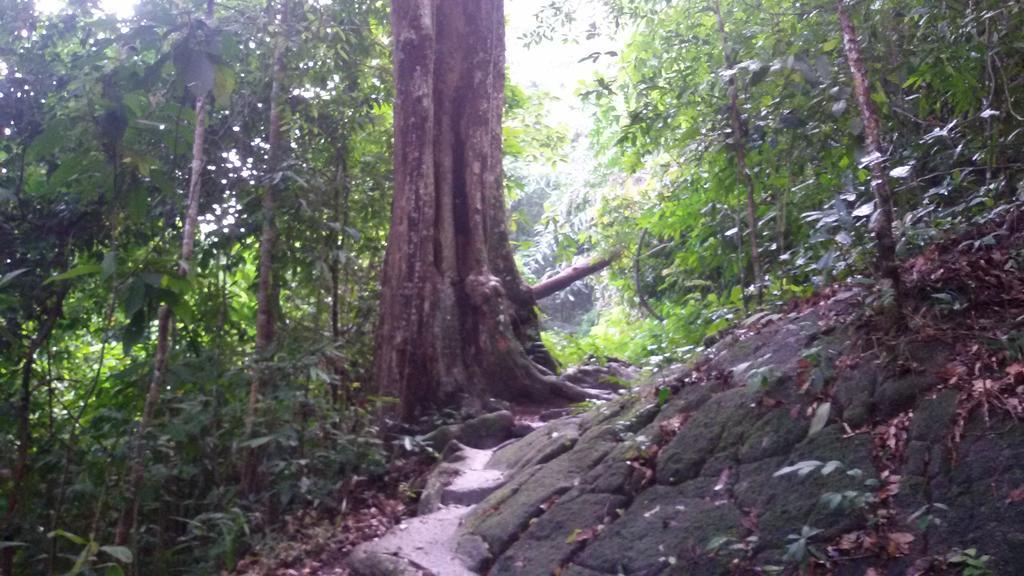 Penang Hill Lodge Ayer Itam ภายนอก รูปภาพ